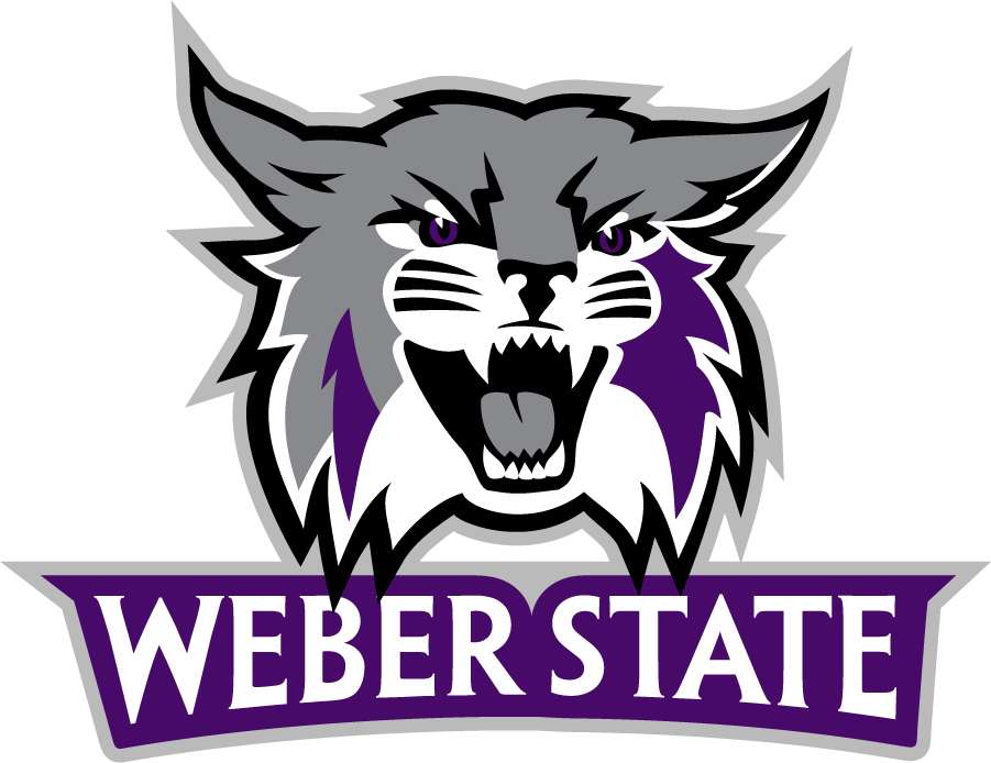 Weber State Wildcats 2012-Pres Primary Logo iron on transfers for T-shirts